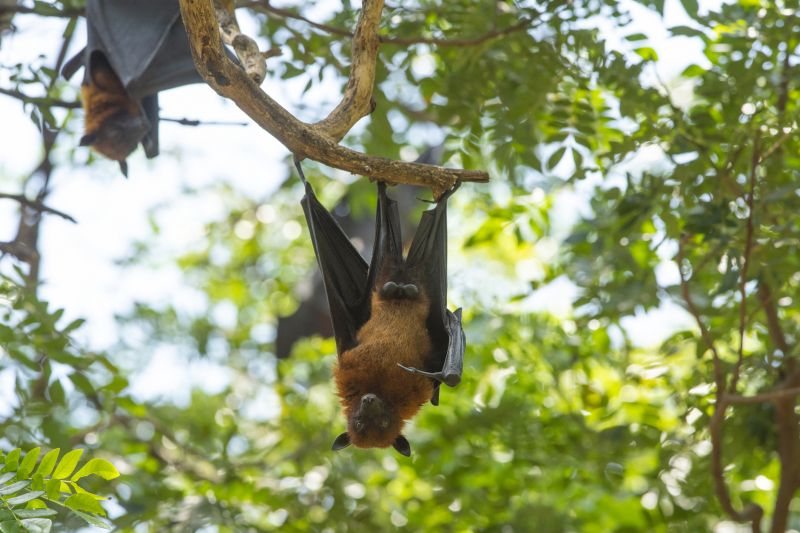 Budget-Smart Upgrades