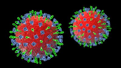 Prevent Diseases From being Spread!